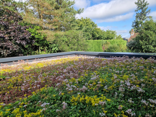 Living roof