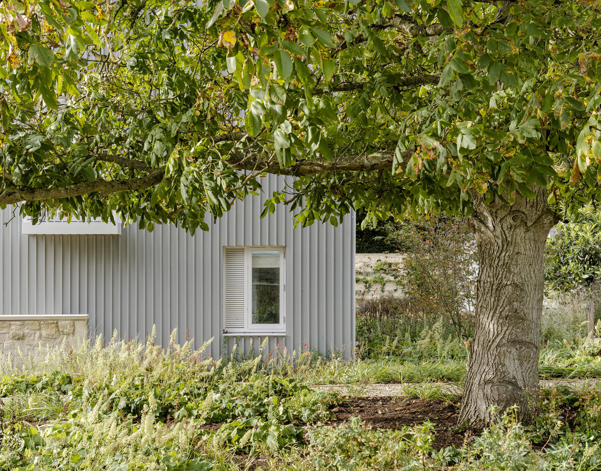 The Farmhouse external window and tree