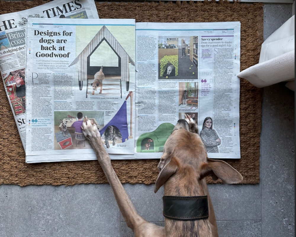 Archi-Barkitecture-The-Times