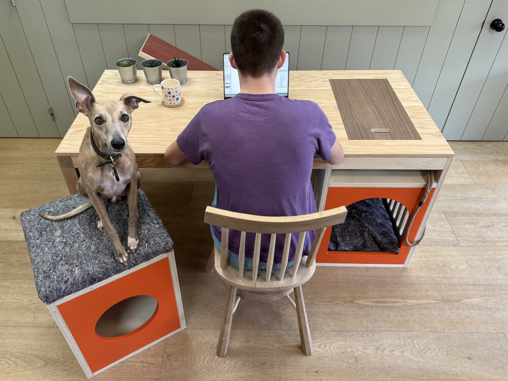 Barkitecture-Team-Archi-Simon-Darren-Ava-Rupert