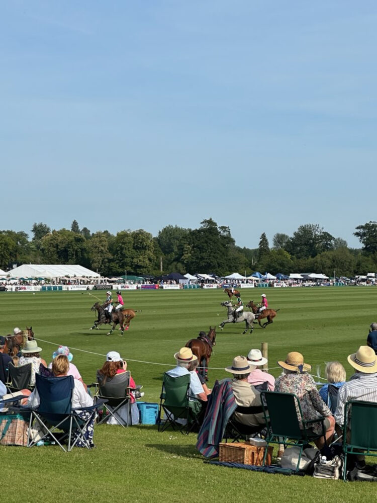 Cowdray polo
