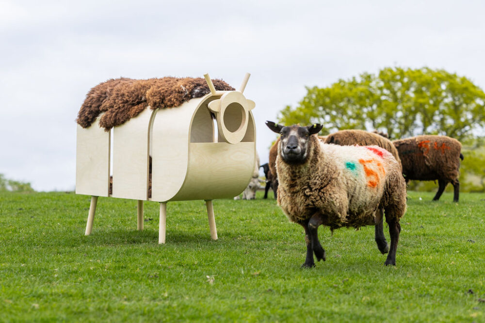 Barktecture 25 entry with sheep