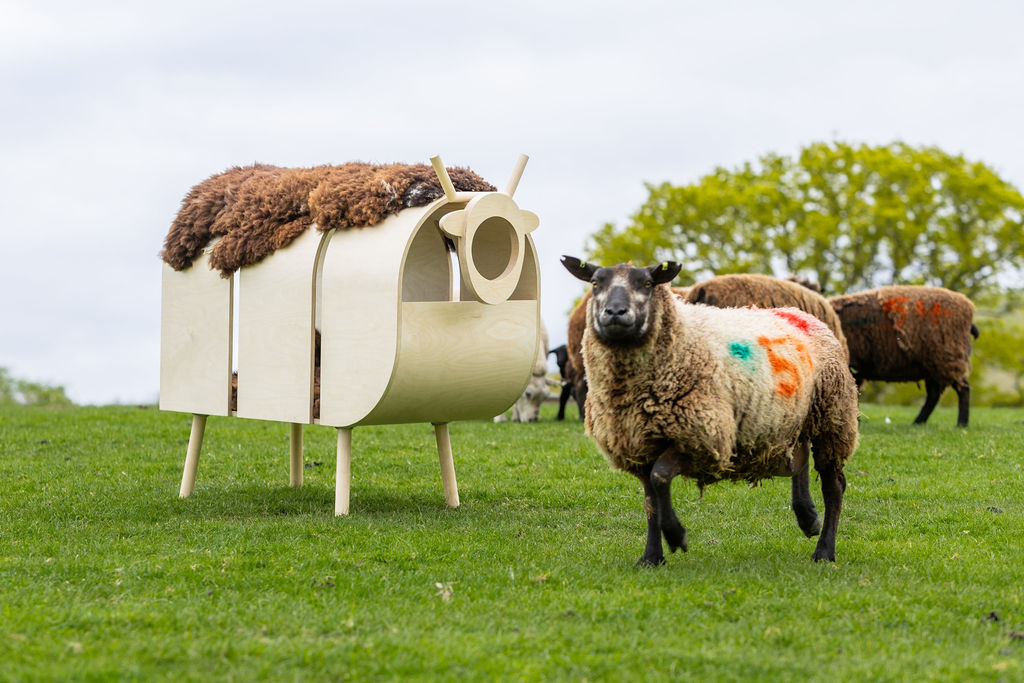 Barktecture 25 entry with sheep