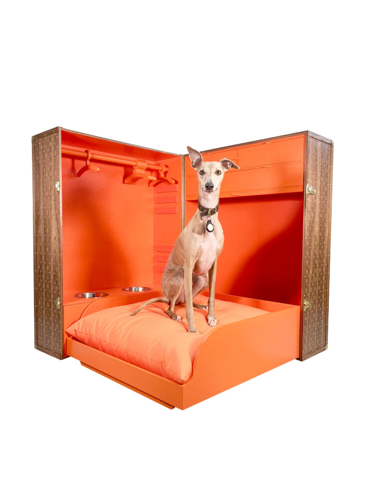 Archi_Barkitecture_2024