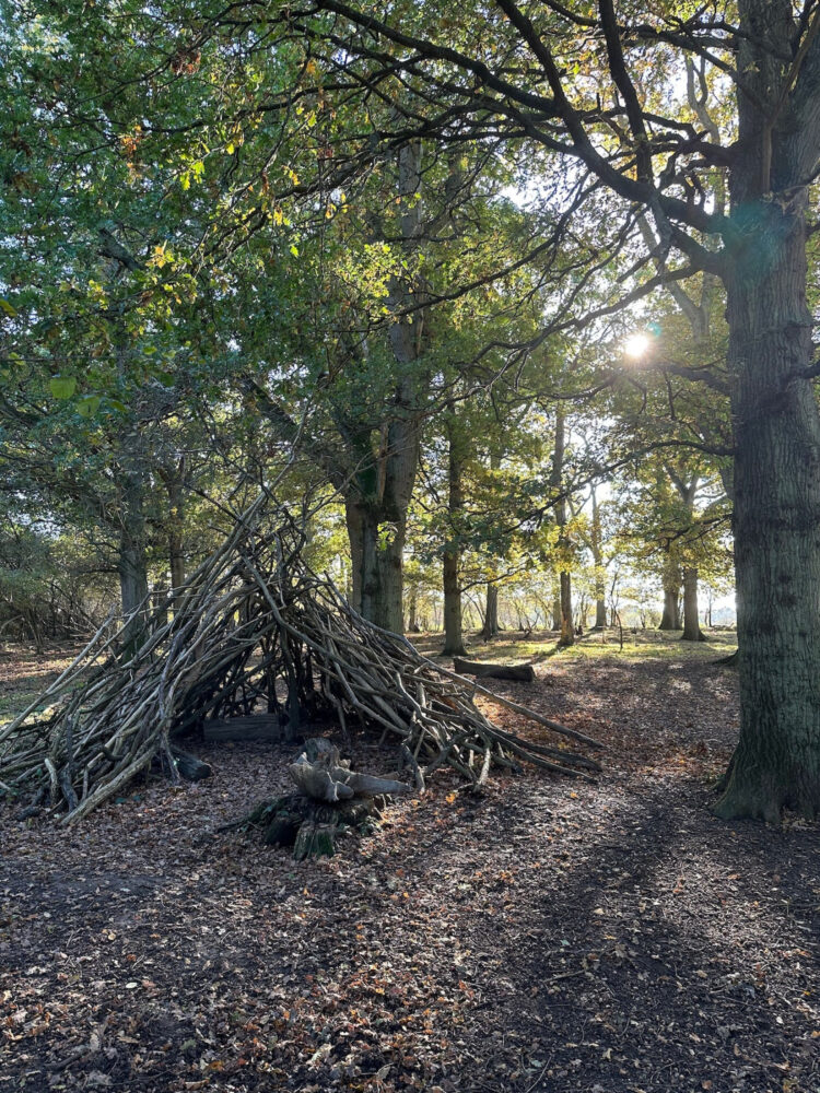 Billingshurst east sussex